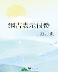 纲吉表示很赞